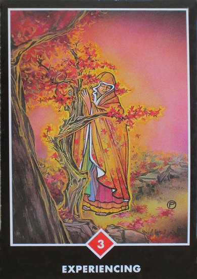 Tarot 3 card of experiencing picture