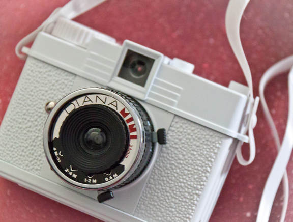White Diana mini lomography camera 